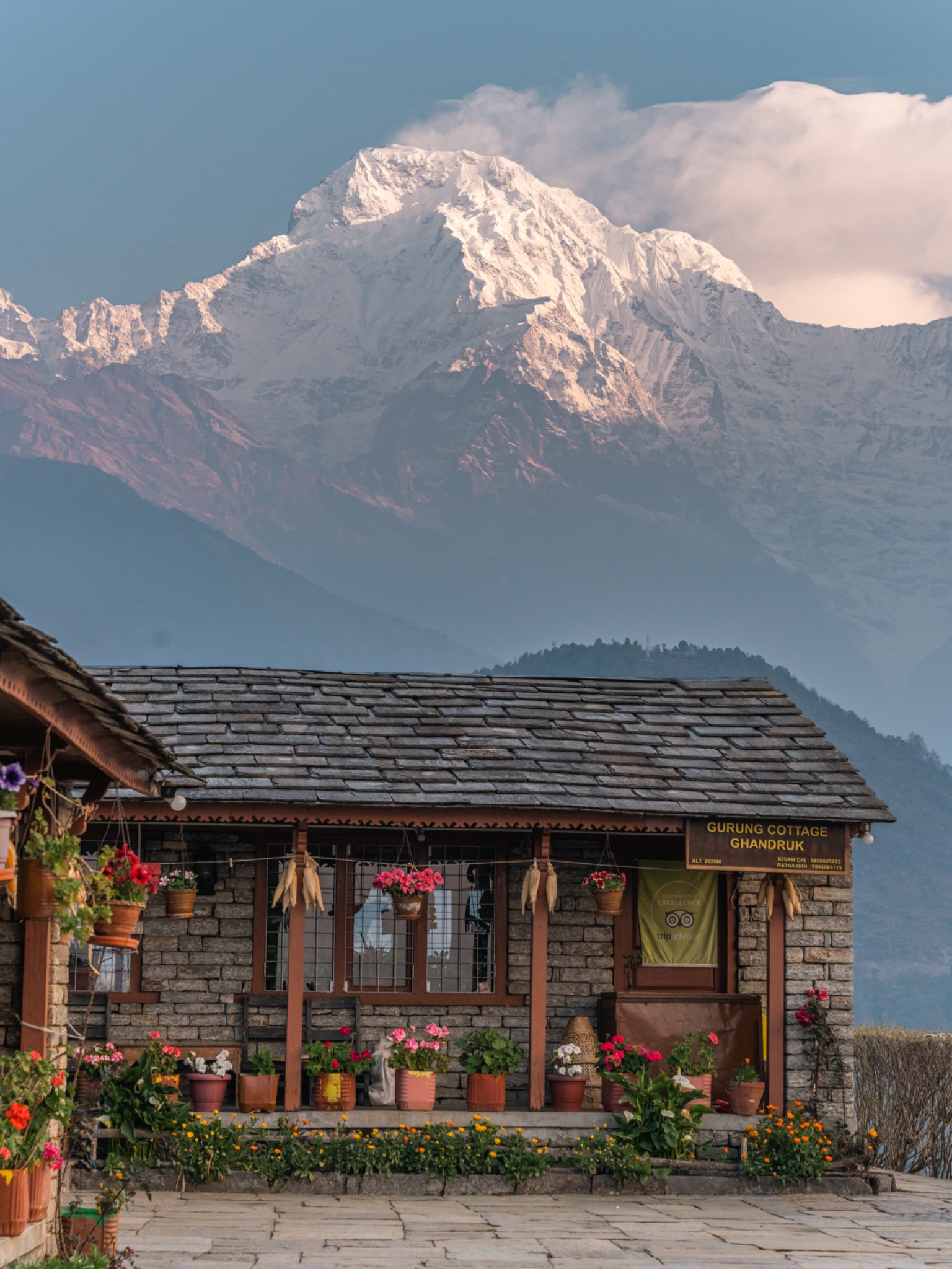 A flower-lined wooden home with a snow-covered mountain behind it