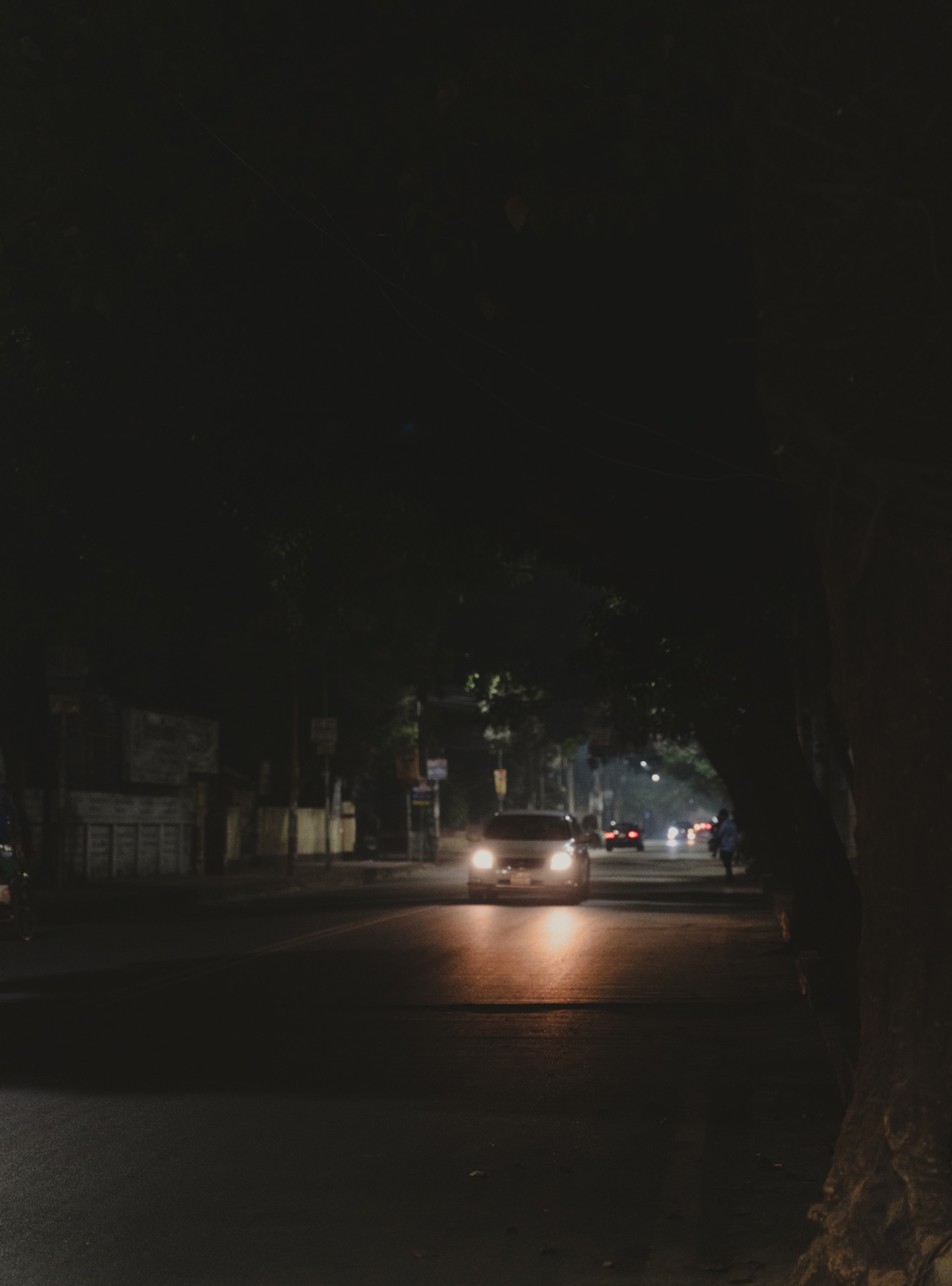 Headlights passing along a dark tree-lined road at night