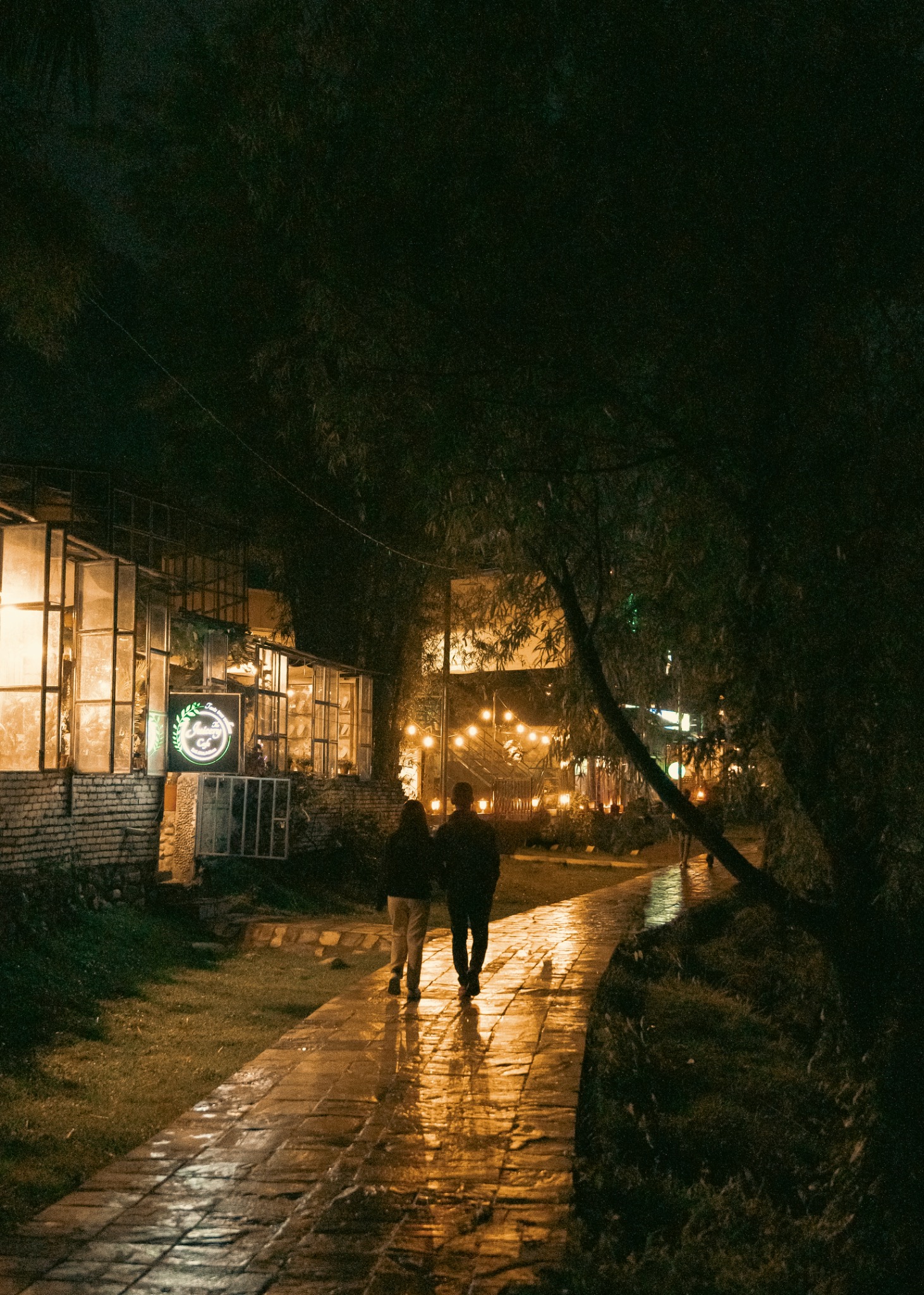 A person walking along a wet path beneath trees and warm lights